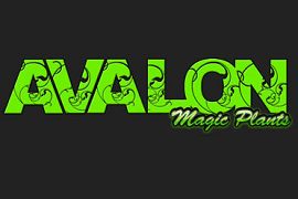 Avalon Magic Plants Rabattcode 